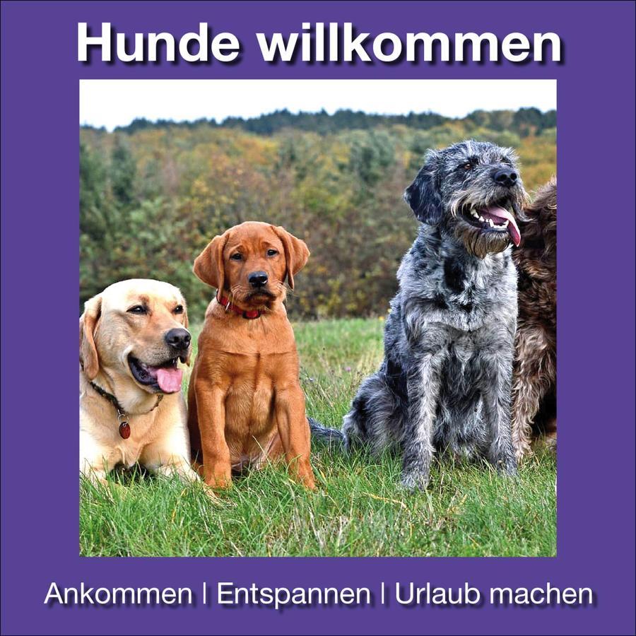 Ferienwohnungen Beckendorf Schiller Losheim am See Exterior foto